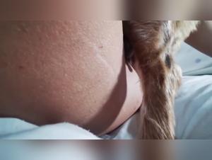 Sexy Beast and Animal Porn for Women Zoophiles