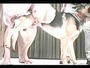 zooskoolvideos woman dog