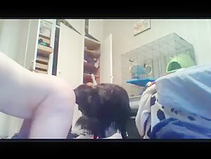 animal sex and dogs