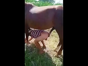 Extreme Pornography: Caballo cachondo dog fucking and brunette sucking dog