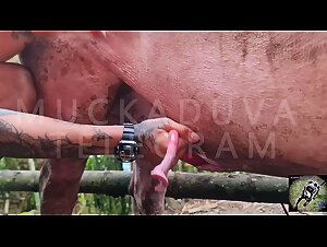 Unveiling Doggy Scenes: Raw and Explicit