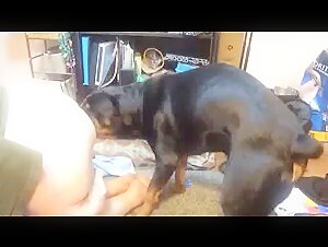 best zoofilia videos