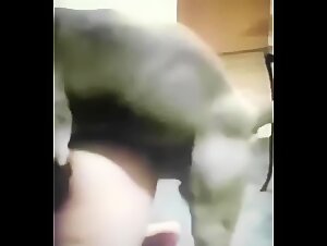 bestiality porn videos