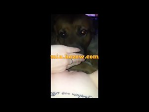 A woman having sex with her dog: an extreme zooophilia discovery
