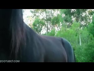 The Turning Point: When the Woman Gives In to Her Wild Animal Fertility Desires