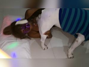 Advances in the Field of Dog Sex Disease
