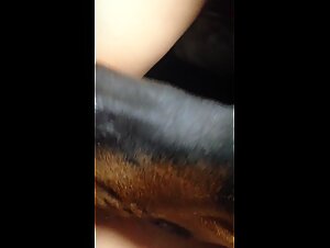 Ethics of Dogsex in Context
