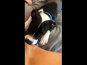 Dog Bite Impact : Exploration