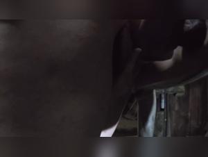 Experience the ultimate animal porn with our stunning collection of women fucking their dogs