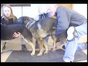 beastiality cartoons animal porn