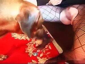 Passionate Encounters Between Man and Dog