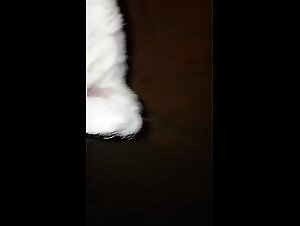 Sex with Dog: First Time!