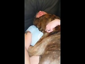 Hidden Realities: Exposing Bestiality