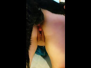 Doggystyle with a Dog: Witness Extreme Hardcore Images