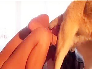 intimate moment with a dog