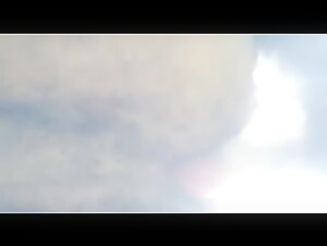 art of zoo bestiality