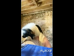 Wife and dog engage in a dirty sex, showing how long sexy they can be
