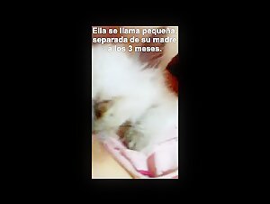 best zoophilic tube videos
