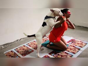 Lesbian woman fuck dogs and make love with her pet in this intense pornography video.