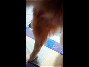 Dog Fucked: Raw Passion