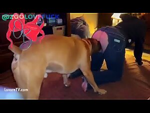 TikTok Beasts: Unleashing Canine Excitement