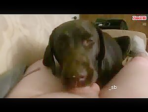 extreme animal domination