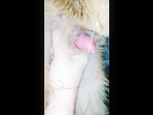 zoophilia video and dog