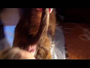Doggy anal sex with a girlfriend's dog - A hardcore sex session with Beastiegals.