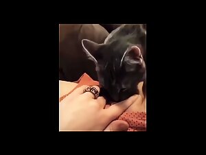 The young prostitute plays with her dog and things get hot