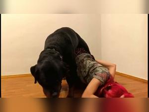 Medications for Canine Libido Control: Effectiveness and Side Effects