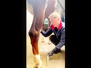 bestiality video gallery