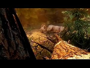 Tube Zoo & PornZoo:  Deep Exploration