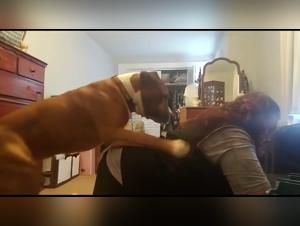 Hottest Pussy and Dogfuck in Bestiality.