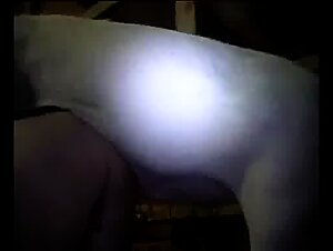 beastily fueled desire ignites