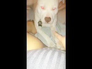 dog fucks girl extreme