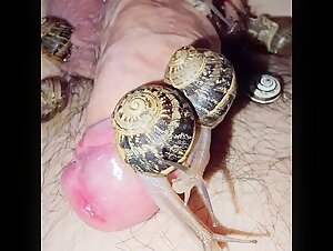 animal porn fucking my dog