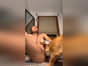 A Slut Screws Her Dog After Alyzoo Gets Loose