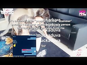 extreme animal experiences