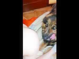 denise frazier dog video