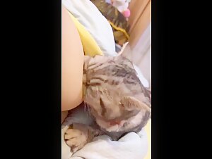 zoofilia tube experiences