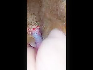 Dog Fuckin and the Boundaries of Desire