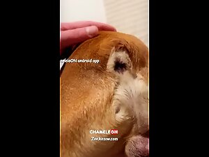 Liltimy: Exploring the Boundaries