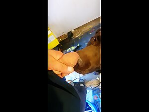 Raw Reality: Amateur Beastiality Exposed