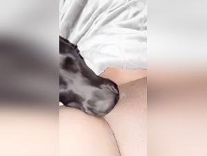 Women Sluts Seeking Sex with Dogs