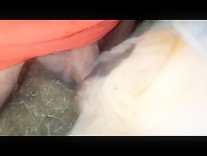 denise frazier and her content