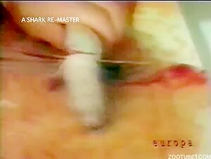 beastiality comics and uk law