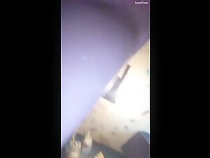 zoo sex animalsexfun