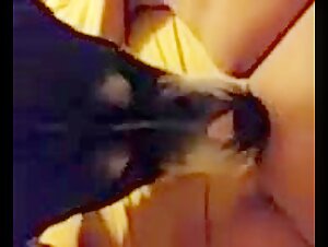 woman and dog forbidden encounter