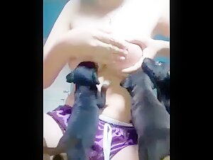 bestiality video animal porno