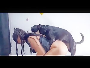 forbidden meeting woman dog
